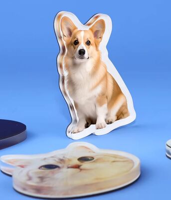 Harga yang bagus HAPPY GIFT Custom Manufacture Pet Design Akrilik Lemari es Magnet Cute Anime kustomisasi Holographic Plastik Sticker on line