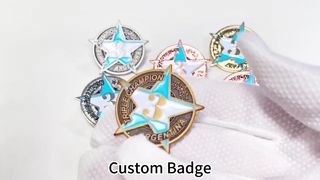 pin 。
